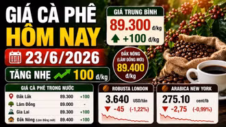 Giá cà phê hôm nay 23/6: Nhích nhẹ sau phiên giảm sâu
