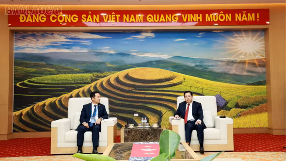 Bí thư Tỉnh ủy Dương Quốc Huy tiếp và làm việc với Hiệp hội doanh nghiệp Hàn Quốc tại Việt Nam