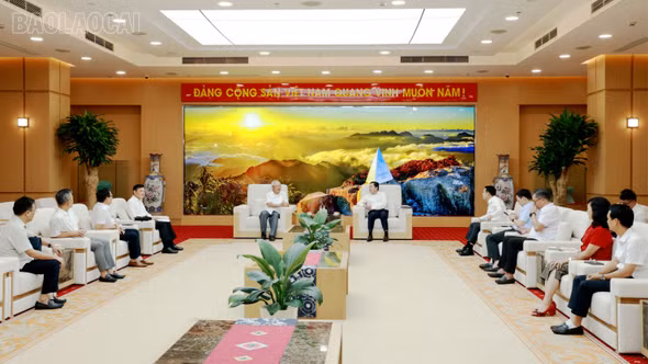 Bí thư Tỉnh ủy Dương Quốc Huy tiếp và làm việc với Đoàn công tác Hội Hữu nghị Việt Nam - Thái Lan