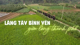 Làng Tày bình yên giữa lòng thành phố