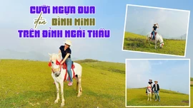 Cưỡi ngựa đua đón bình minh trên đỉnh Ngải Thầu