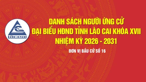 [Infographic] Tiểu sử tóm tắt những người ứng cử đại biểu HĐND tỉnh Lào Cai khóa XVII, nhiệm kỳ 2026 - 2031 (Đơn vị bầu cử số 16)