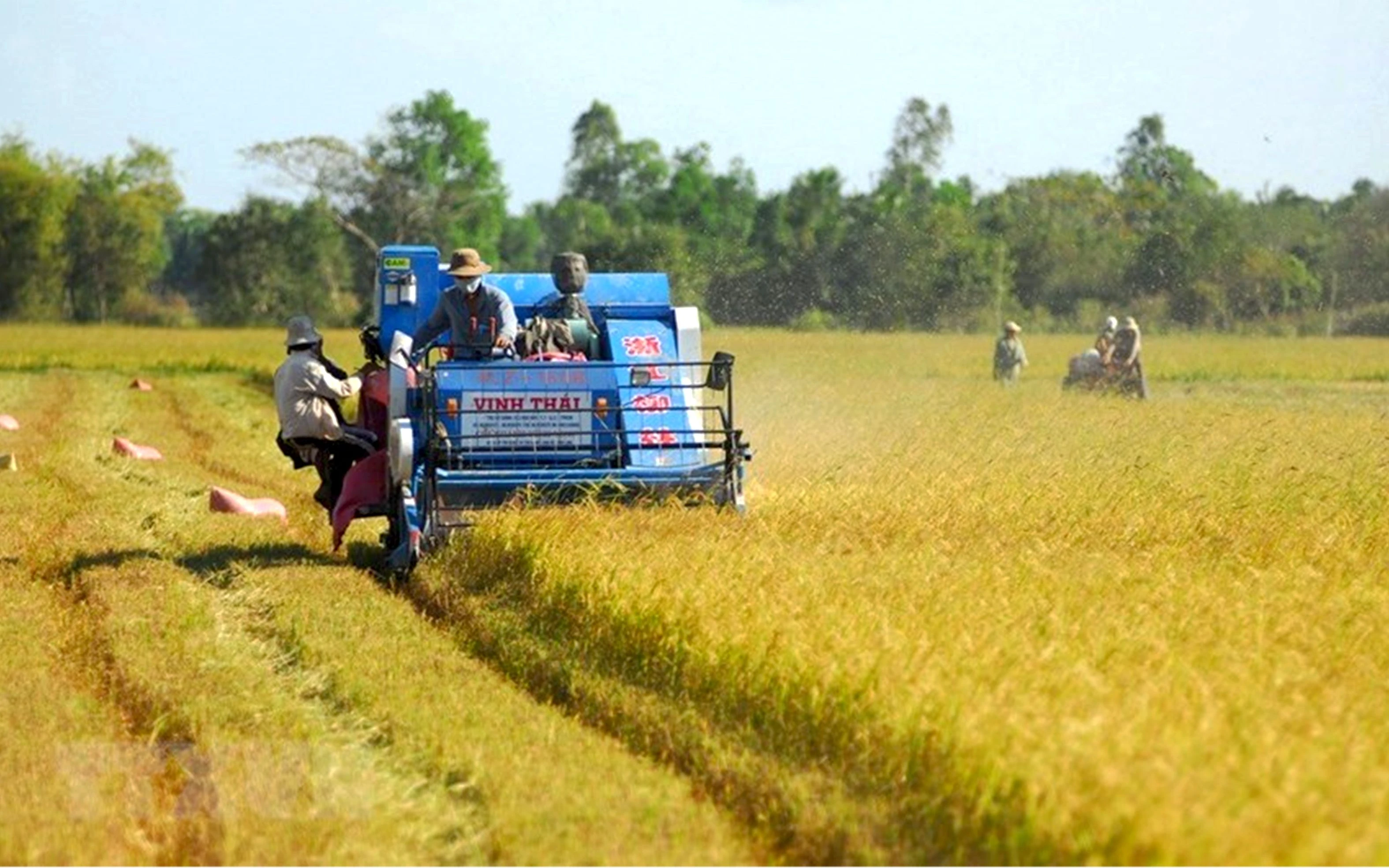 NHỮNG DẤU MỐC SÁNG TẠO, ĐỔI MỚI CỦA ĐẢNG ảnh 14