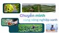Chuyển mình cùng nông nghiệp xanh