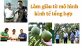 Làm giàu từ mô hình kinh tế tổng hợp ở Lương Thịnh