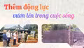Thêm động lực vươn lên trong cuộc sống