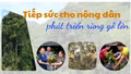 Tiếp sức cho nông dân phát triển rừng gỗ lớn