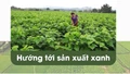 Hướng tới sản xuất xanh