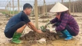 Nam Cường nỗ lực khôi phục vùng rau sau thiên tai