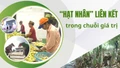 “Hạt nhân” liên kết trong chuỗi giá trị