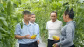 Liên Sơn cụ thể hóa nghị quyết bằng phát triển kinh tế - xã hội và xây dựng Đảng từ cơ sở