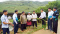Đảng viên Tà Xi Láng tiên phong mở hướng thoát nghèo cho người dân vùng cao