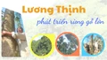 Lương Thịnh phát triển rừng gỗ lớn