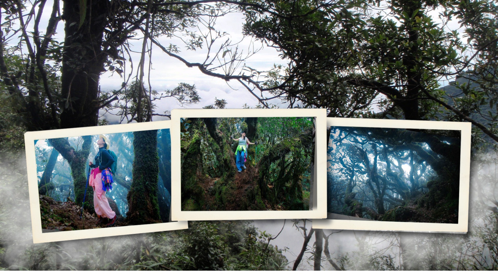 Những khu rừng đặc dụng, những cung đường trekking xuyên qua biển mây và rừng thẳm đang trở thành thỏi nam châm hút khách. du-lich-sinh-thai-1-4289.jpg