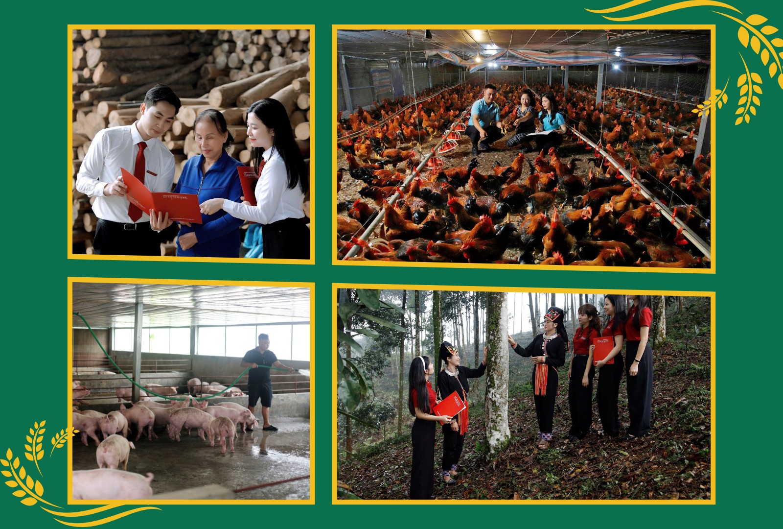 Dòng vốn Agribank Chi nhánh Bắc Yên Bái đã tiếp sức cho hàng ngàn mô hình sản xuất đa dạng, từ nông nghiệp ứng dụng, kinh tế rừng đến chăn nuôi quy mô lớn, khẳng định dấu ấn đồng hành kiến tạo trên địa bàn. 3.png