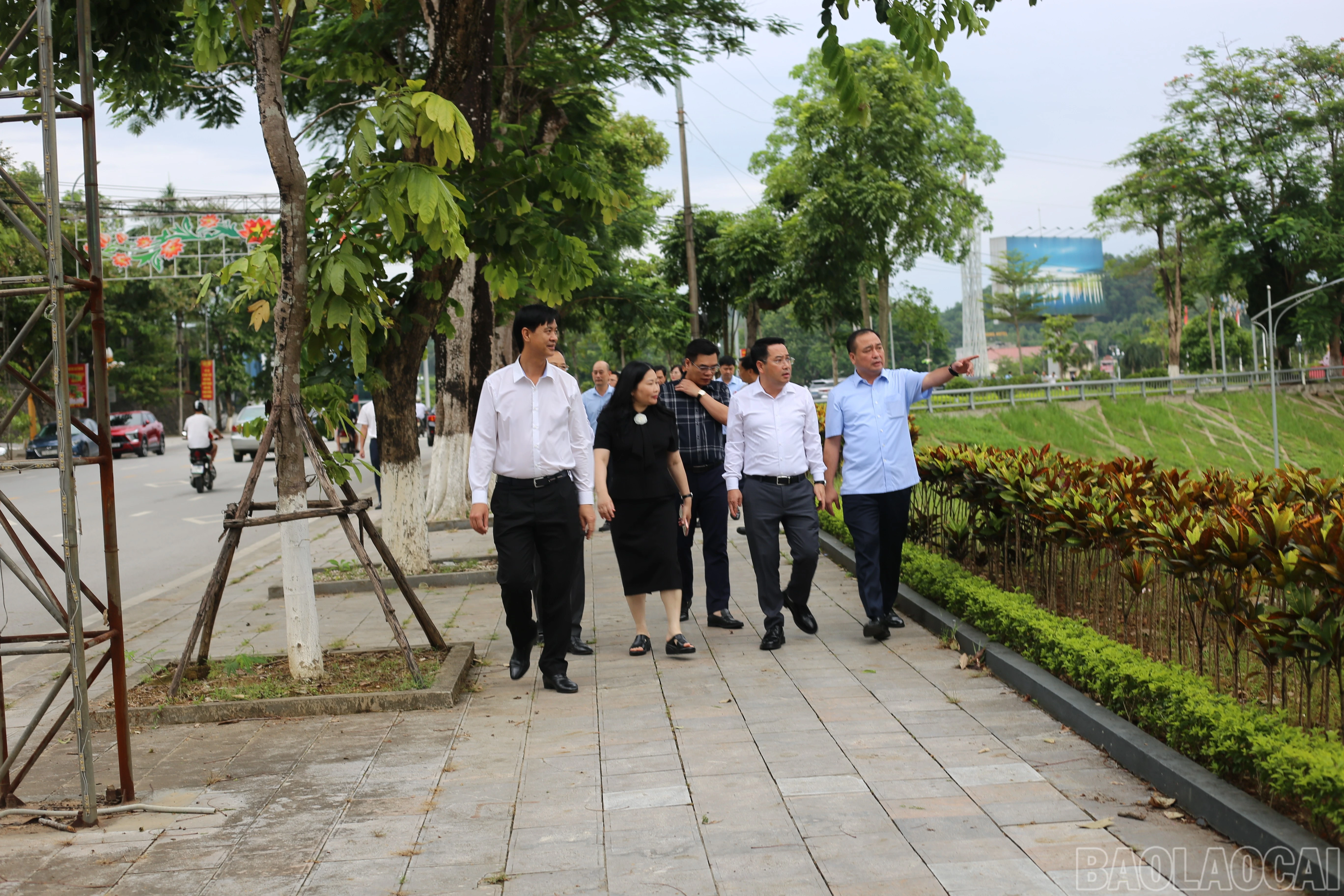 baolaocai-br_img-2163.jpg