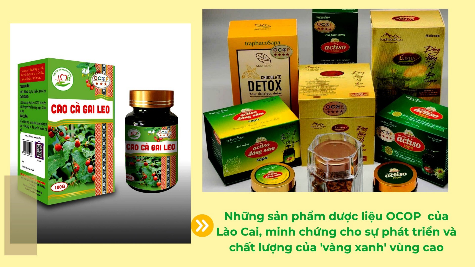 cac-san-pham-ocop-duoc-lieu-7691.jpg