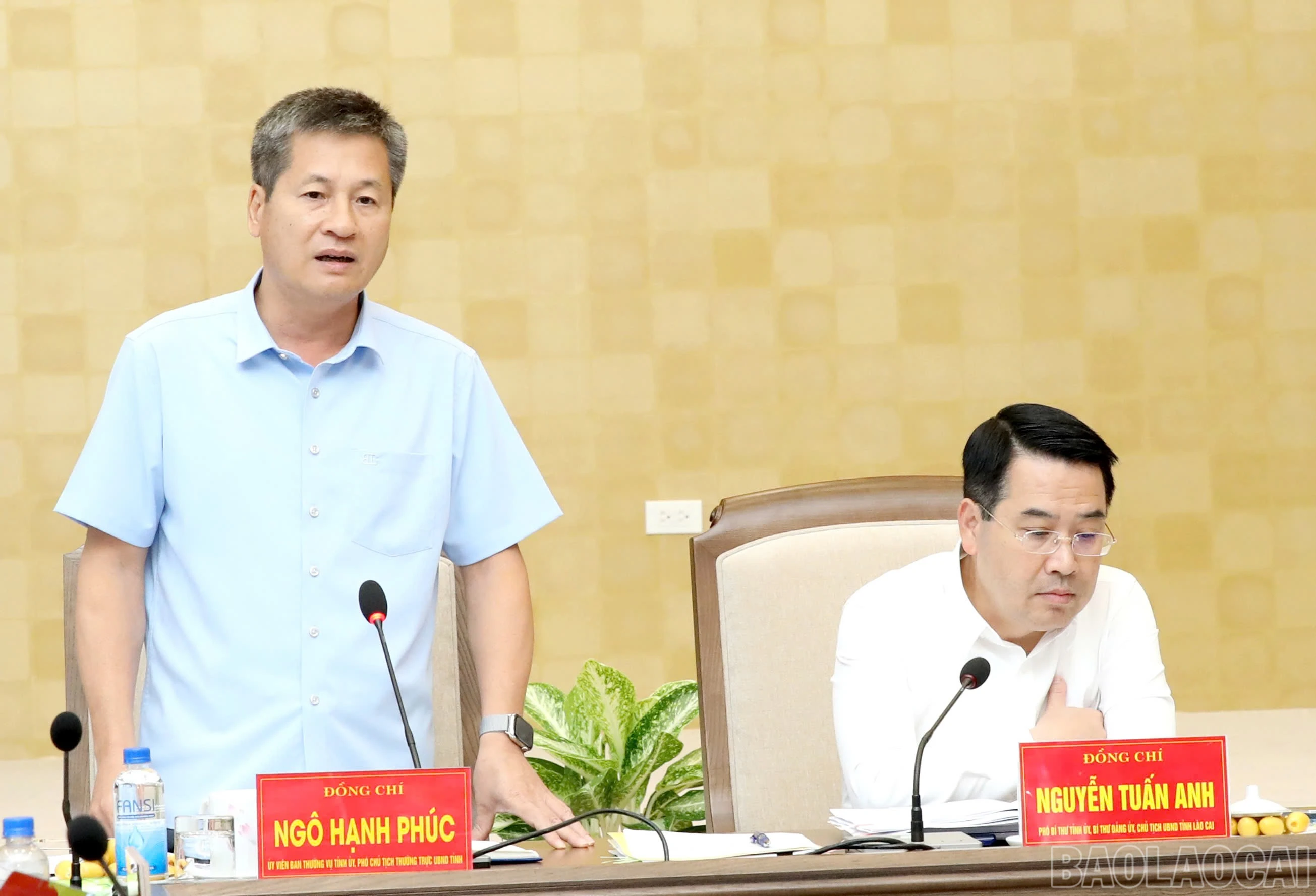 baolaocai-br_ngo-hanh-phuc-pb.jpg