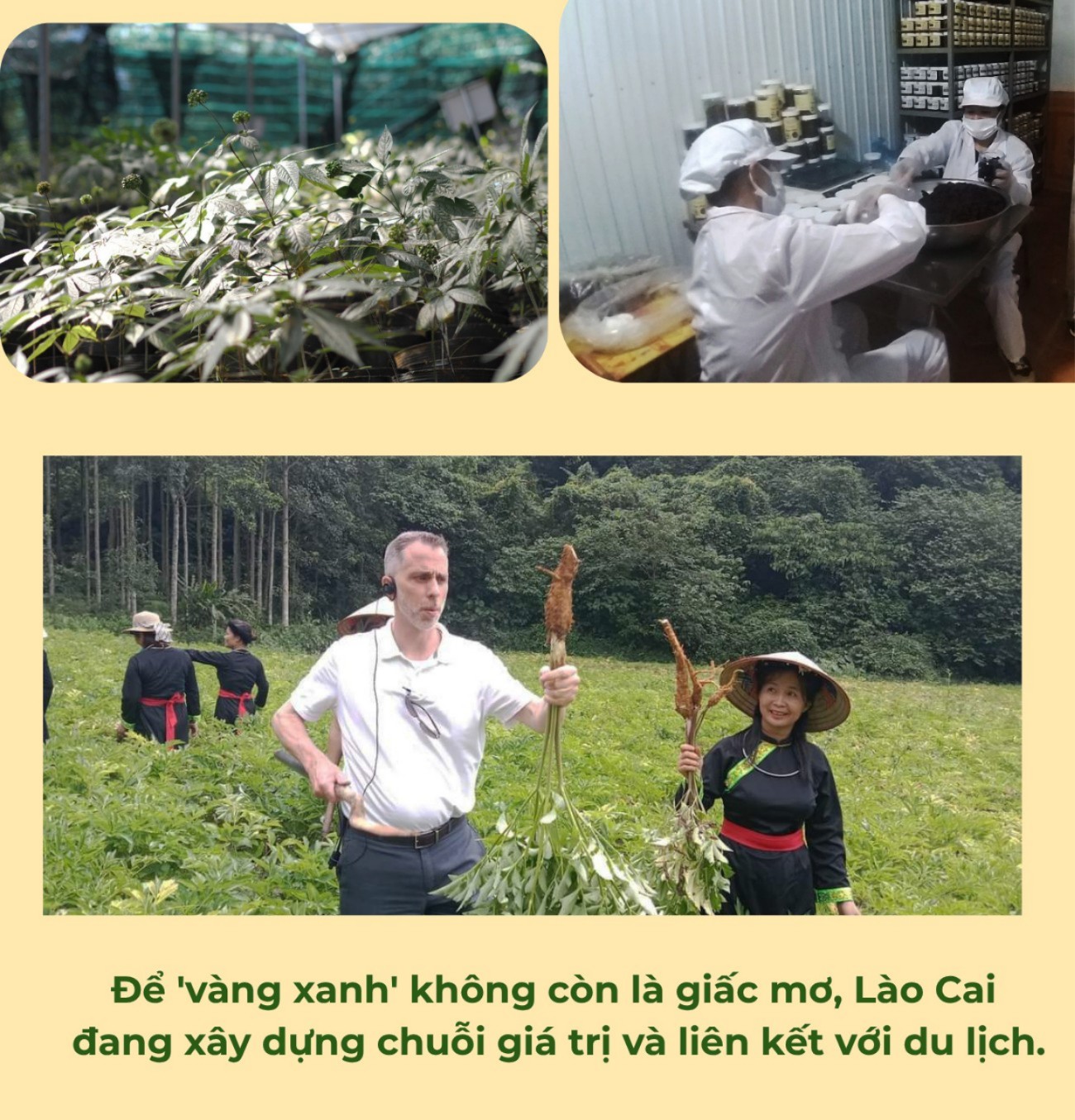 anh-4-7065.jpg