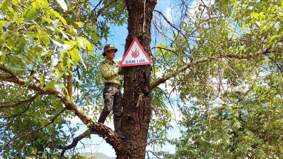 Kiểm lâm viên cắm biển báo "Cấm lửa" tại khu vực trọng điểm, chủ động ngăn ngừa nguy cơ cháy rừng trong mùa khô hanh. bien-bao-chay-rung-3867.jpg