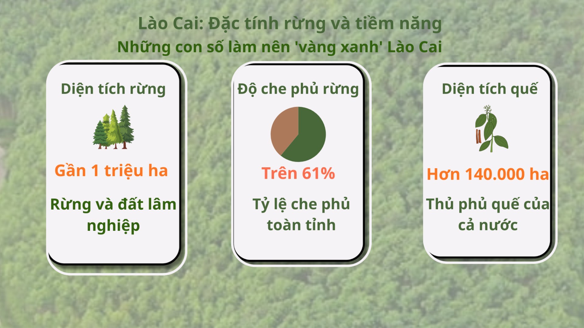  anh-1-dt-rung-7717.jpg