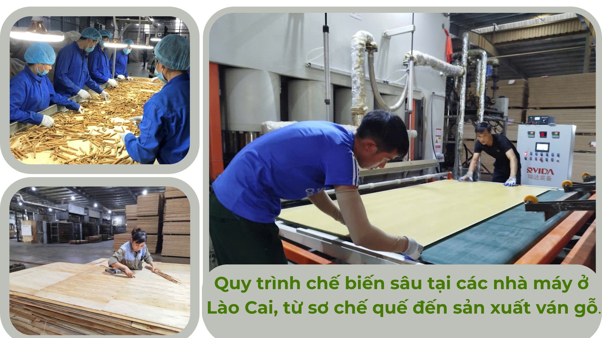anh-che-bien-sau-chu-dam.png