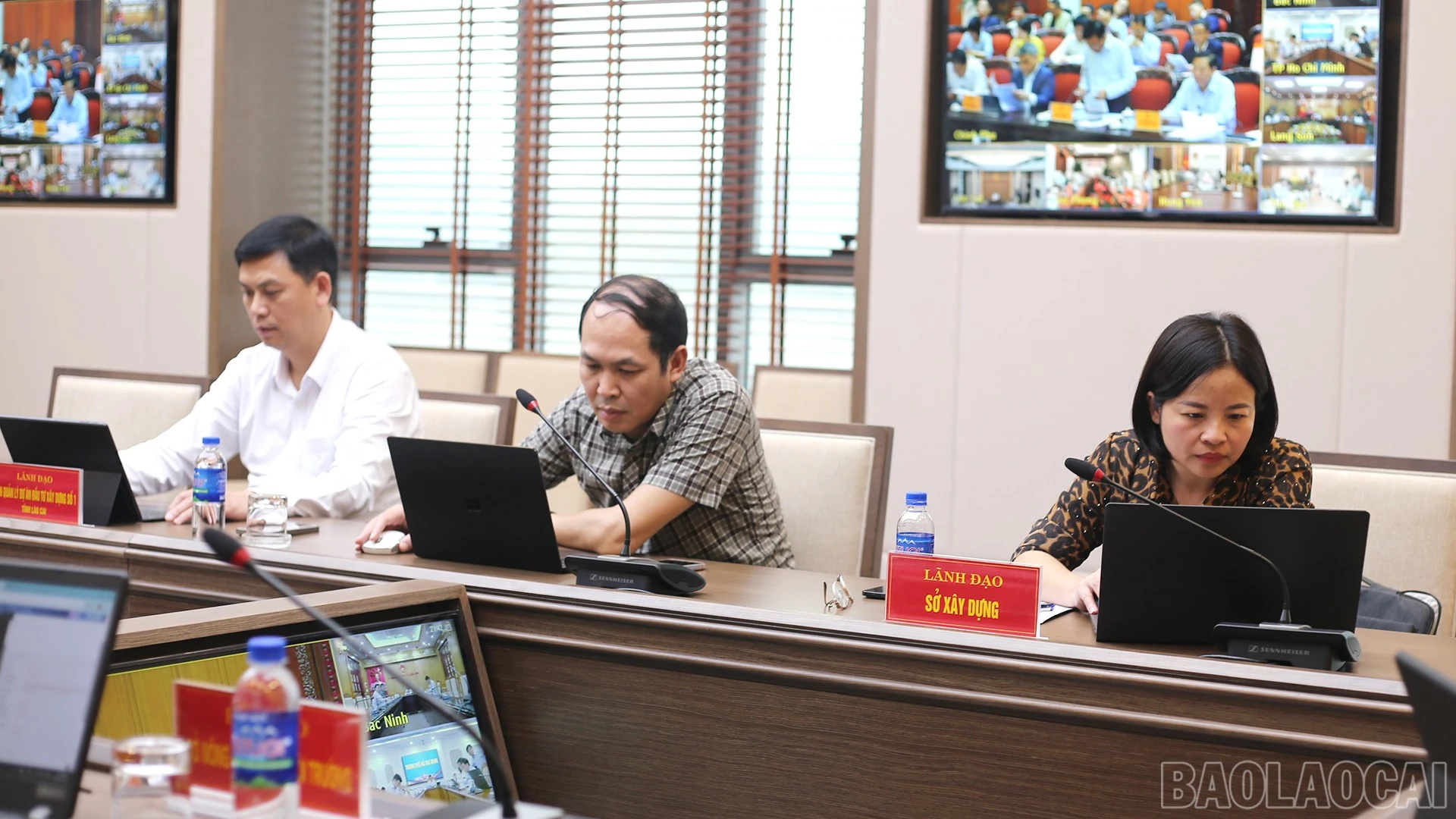 baolaocai-br_img-0867.jpg
