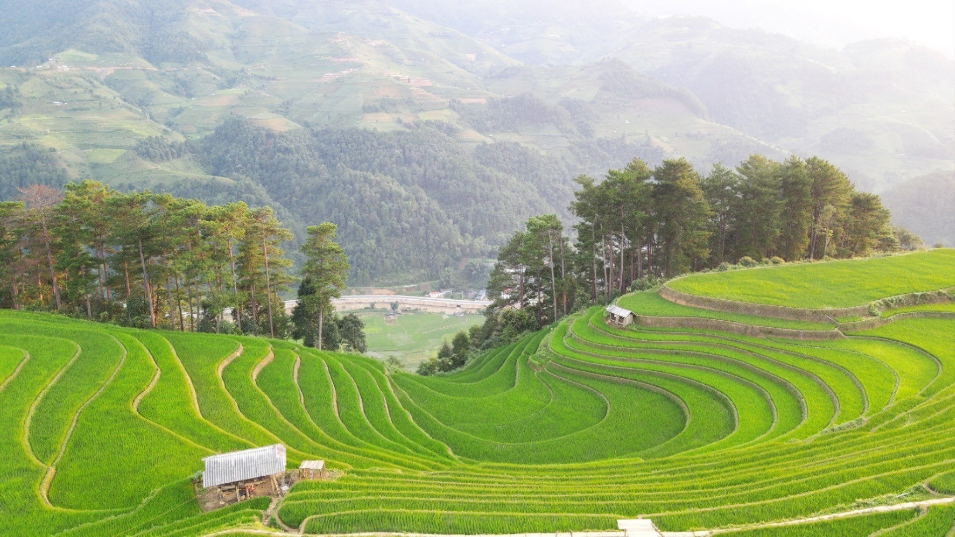 Vẻ đẹp ruộng bậc thang ở Mù Cang Chải. du-lich-mcc-4037-8499-1283.jpg