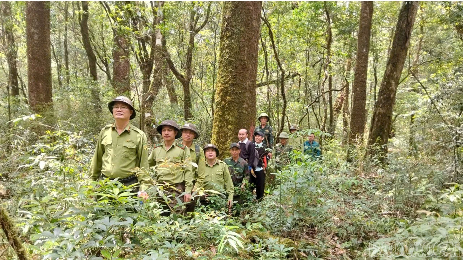 baolaocai-br_anh-tuan-tra-rung.jpg