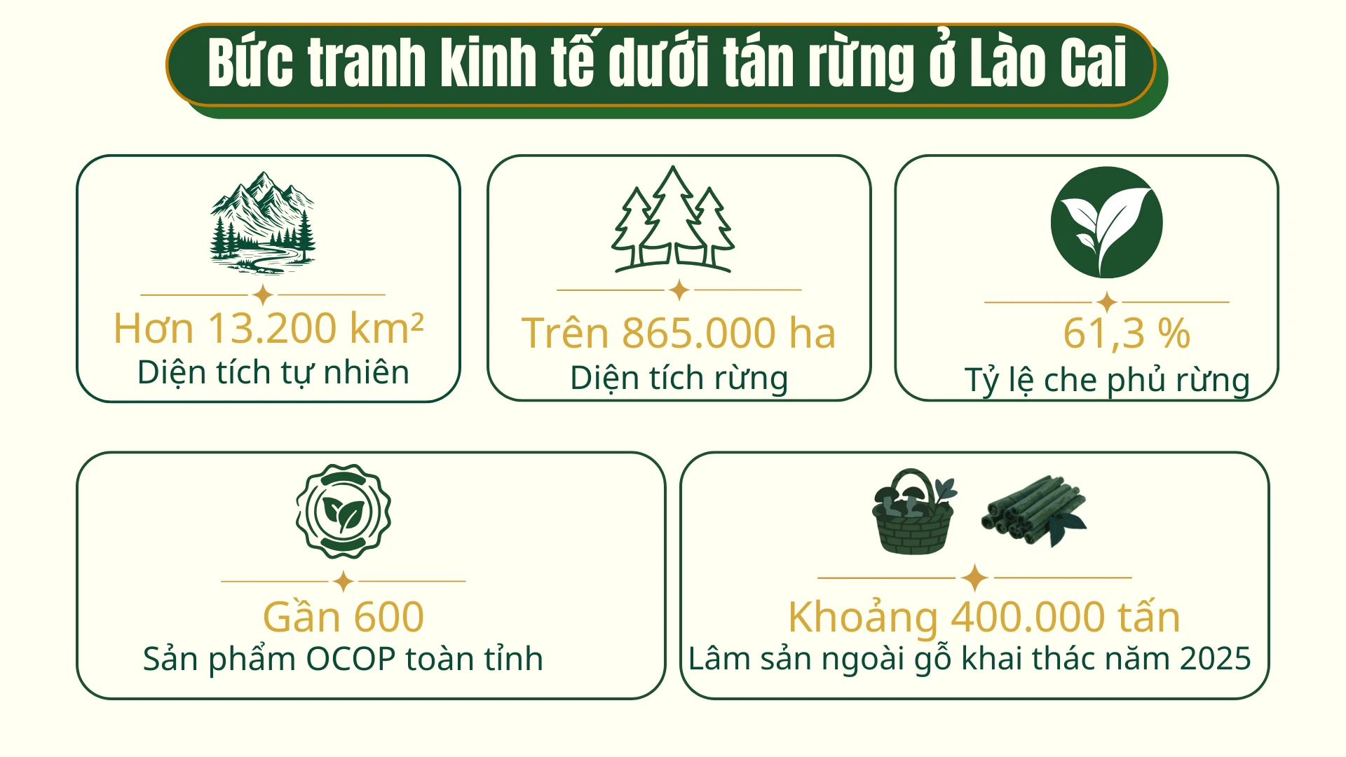 info1.png