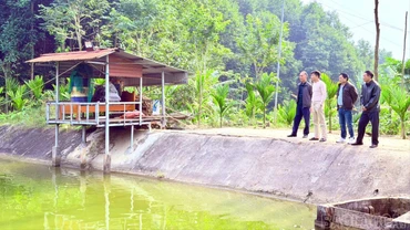 Về vùng quê kinh tế mới