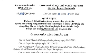 Phê duyệt hơn 108 tỷ đồng dịch vụ môi trường rừng 