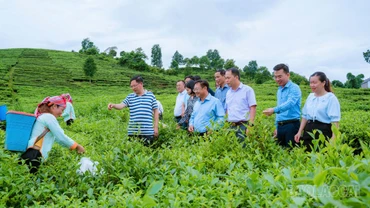 Agribank Mường Khương - điểm tựa vốn cho phát triển nông nghiệp hàng hóa