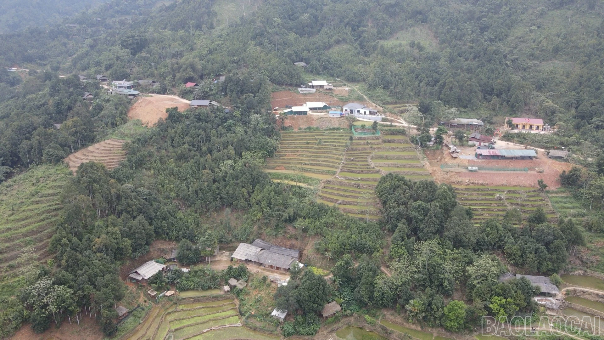 baolaocai-br_anh-9.jpg