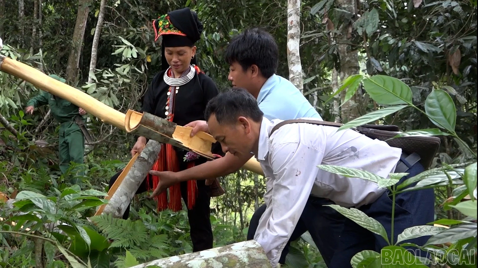 baolaocai-br_anh-7.jpg