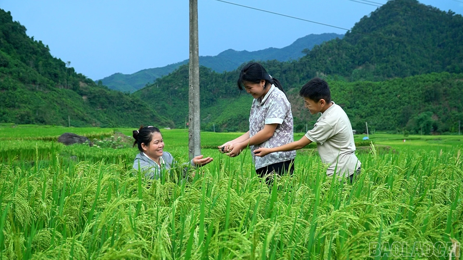 baolaocai-br_anh-3.jpg