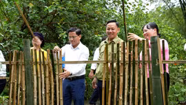 Xã Nghĩa Đô phát động nhân rộng mô hình "Cổng đẹp, rào xanh, vườn rau tốt”