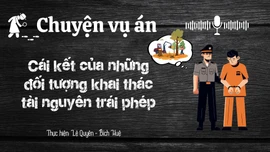 Chuyện vụ án "Cái kết của những đối tượng khai thác tài nguyên trái phép"