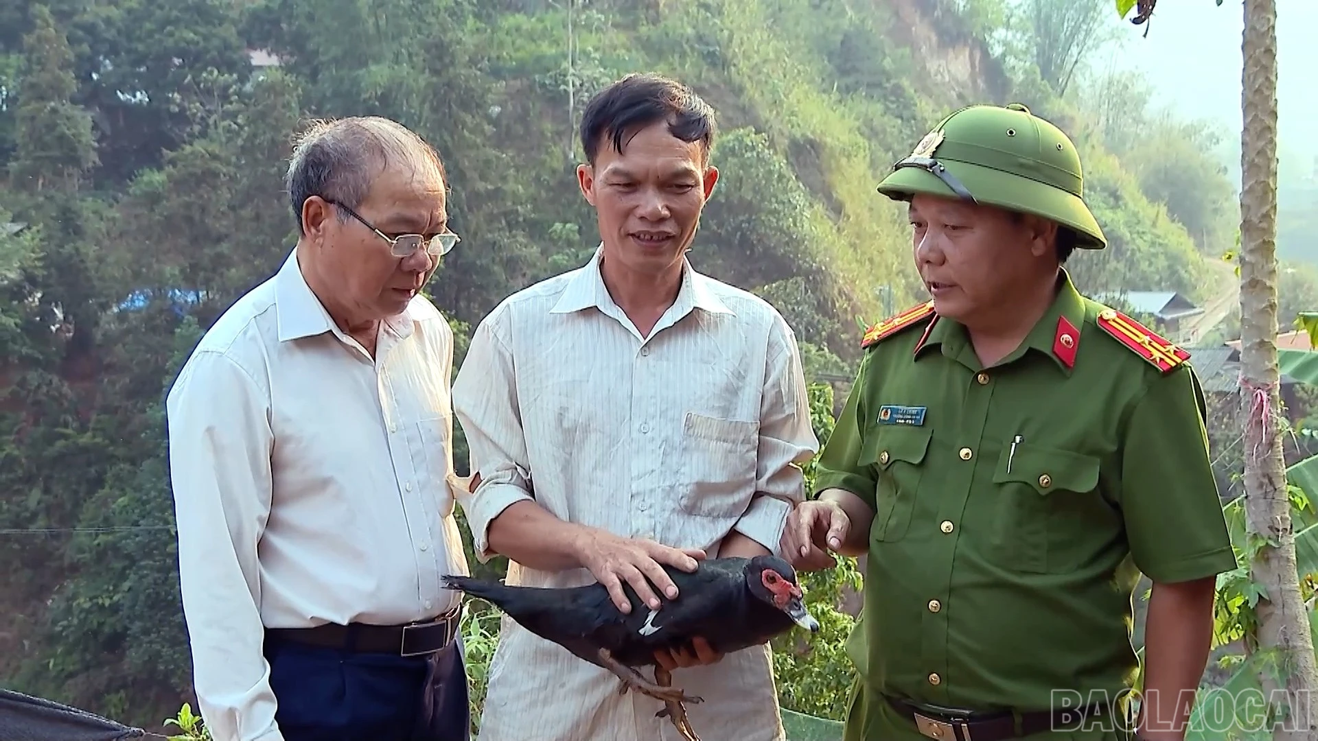 baolaocai-br_hd-108000-23-31-17still103.jpg