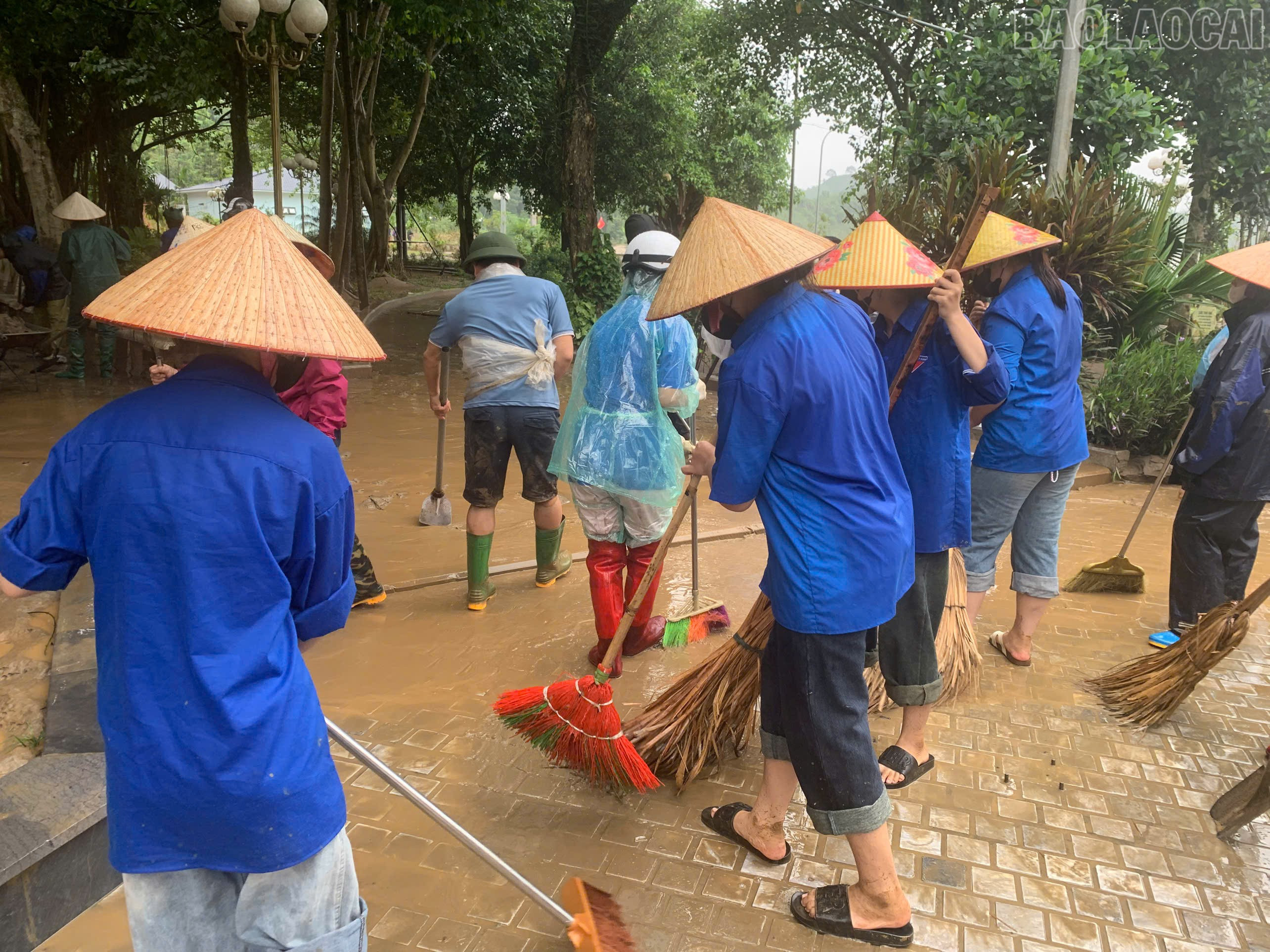 baolaocai-tr_z7069409655320-750459864964cd740b260f62dab47cf7.jpg