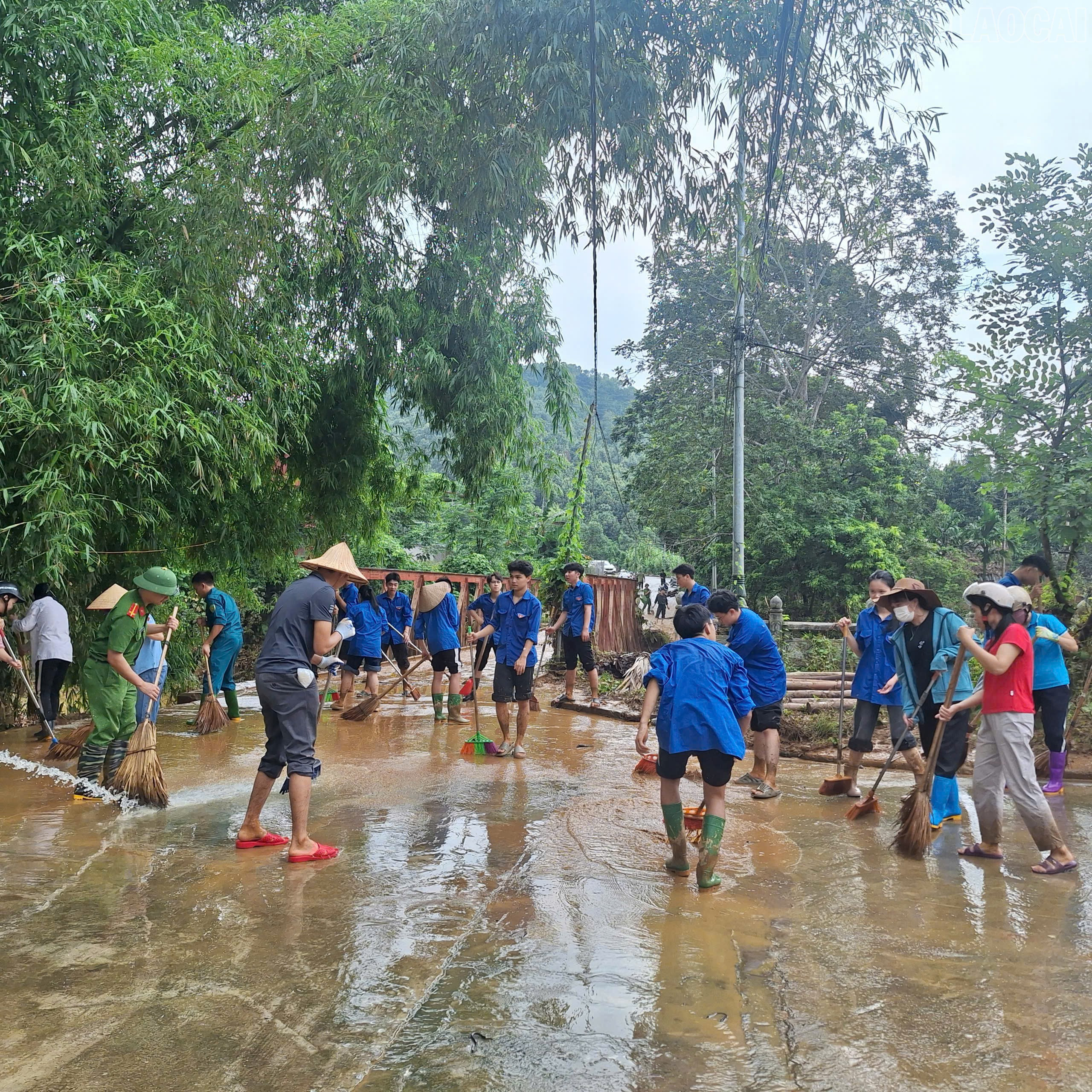 baolaocai-tr_z7069404592151-ac5216fb7c61930e9bcb5af4bbdce371.jpg