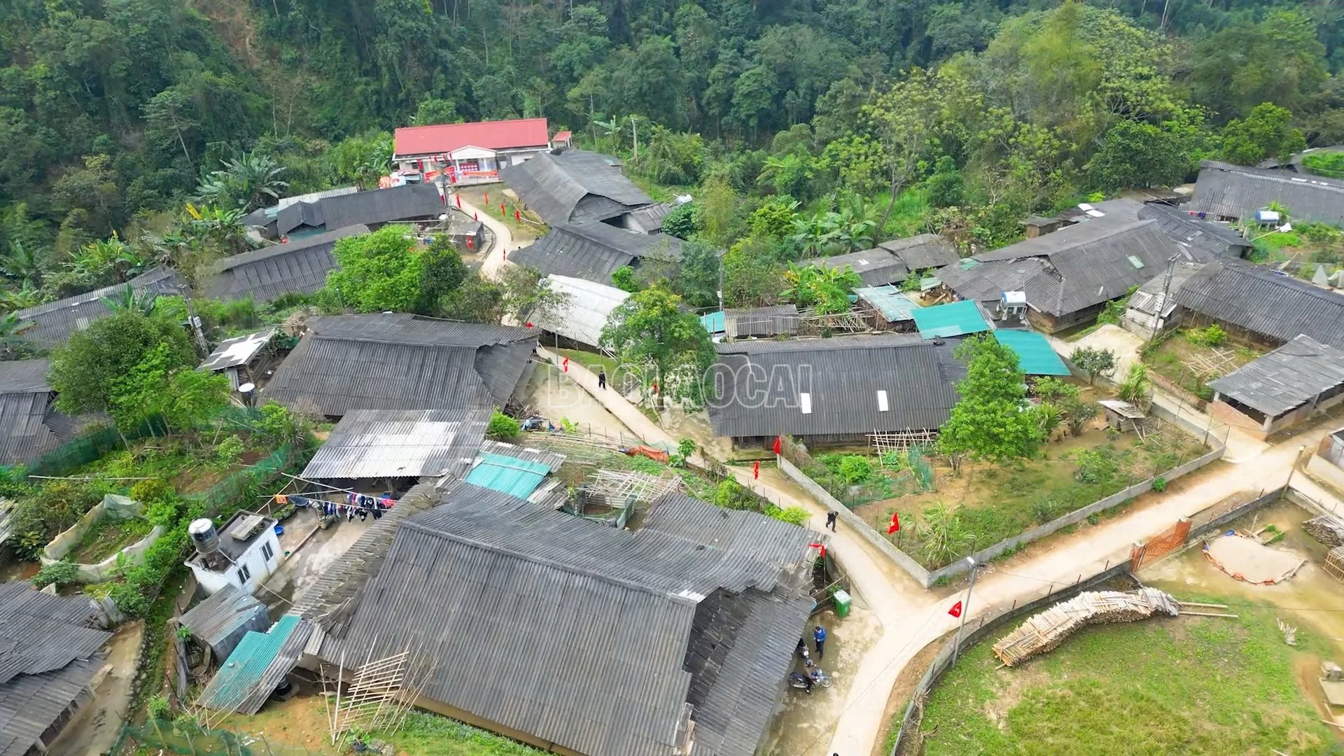 baolaocai-c_5dff2ec0df53510d0842.jpg