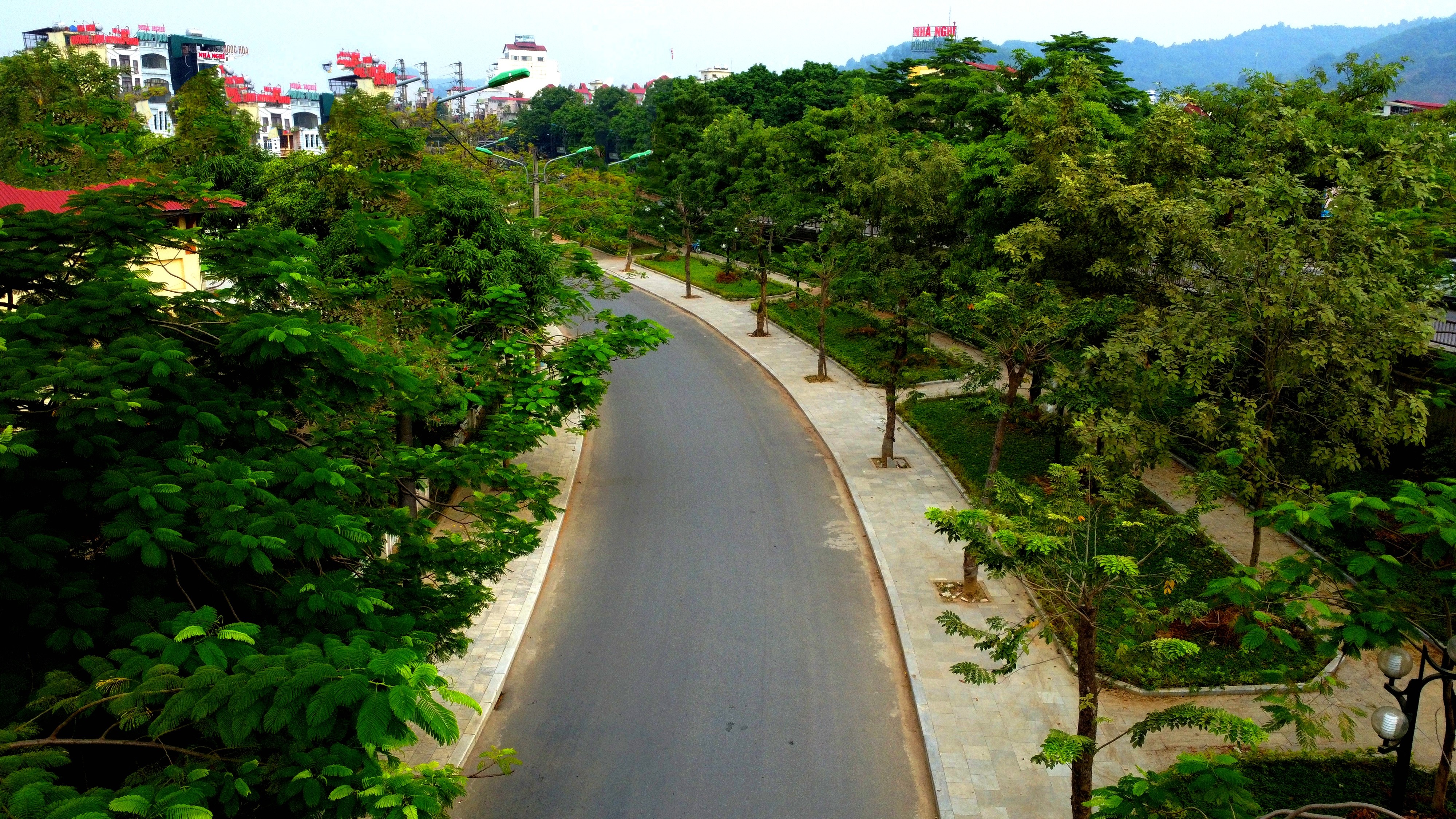 Những tuyến đường rợp bóng cây xanh. img-20241113-223911.jpg