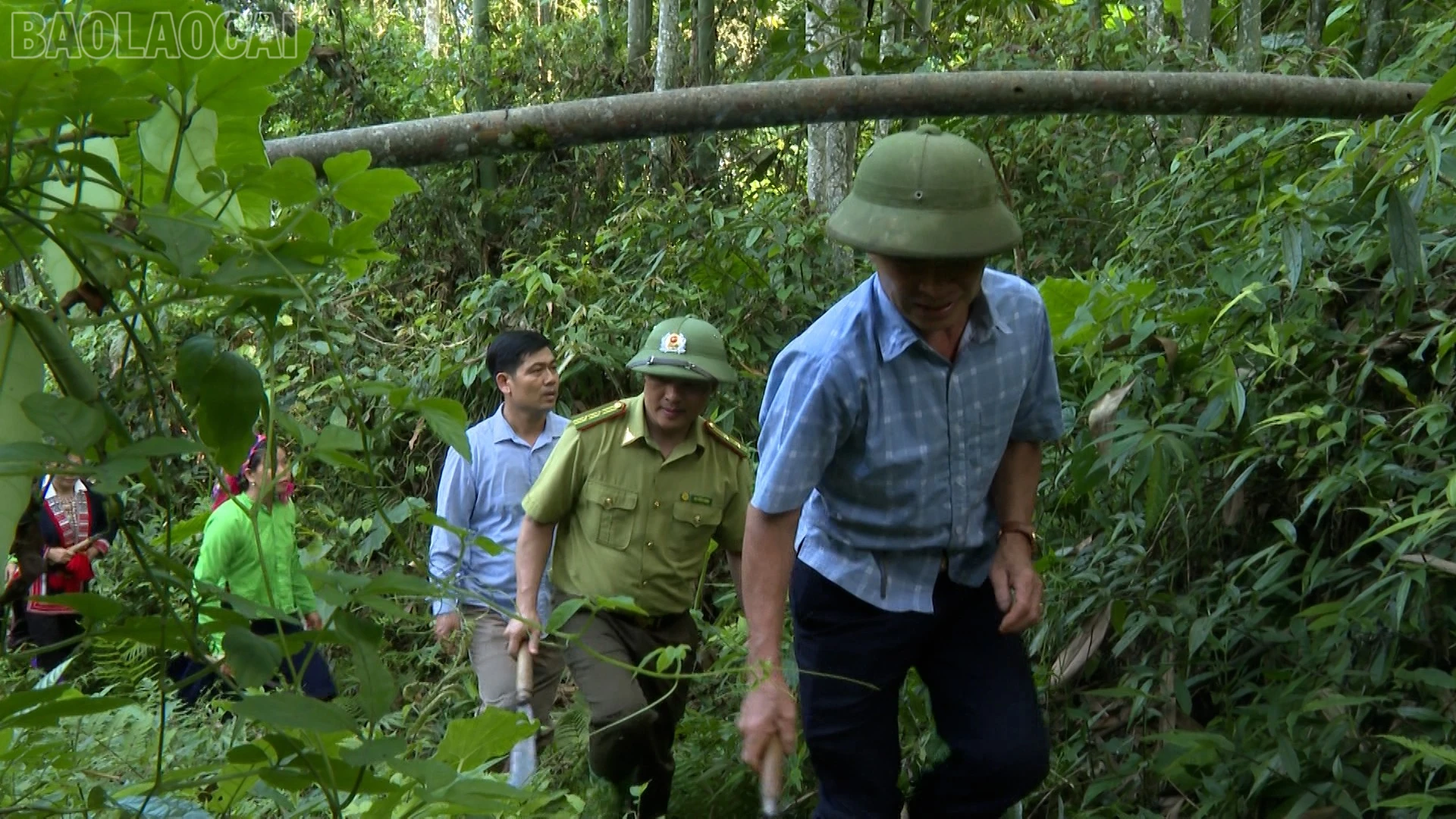 baolaocai-tl_anh-16.jpg