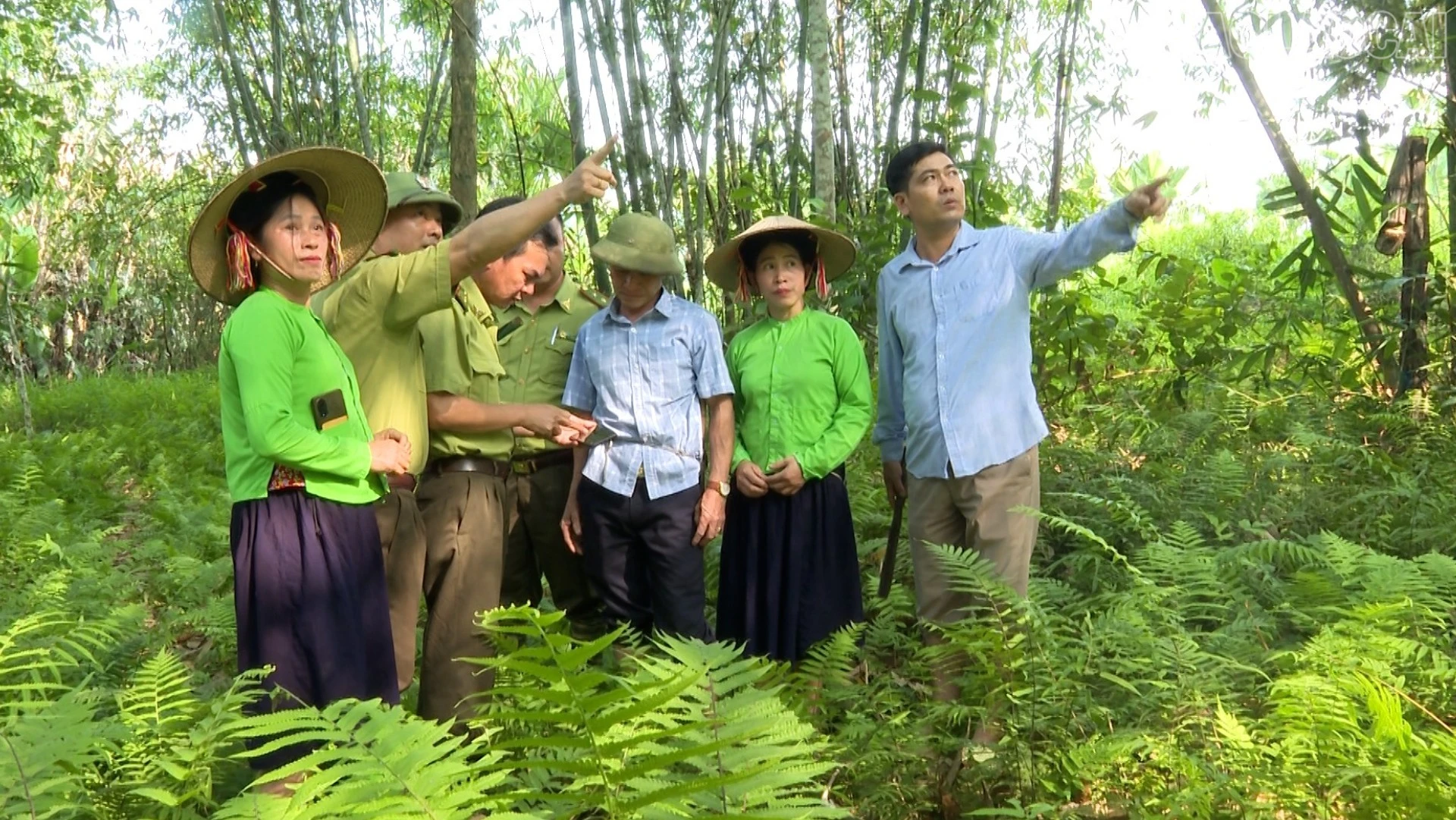 baolaocai-tr_anh-7-2901.jpg