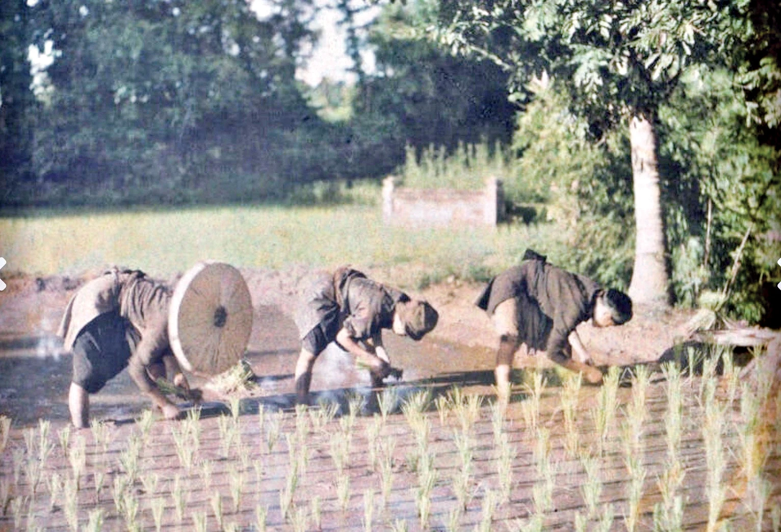 viet-nam-xua-602.jpg