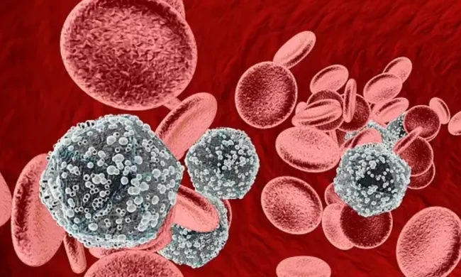 (Ảnh minh họa: Daily Mail)