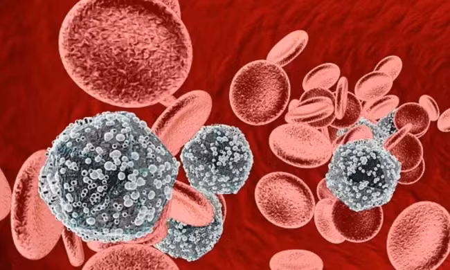 (Ảnh minh họa: Daily Mail)