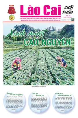 Báo Lào Cai Cuối tuần số 24 ra ngày 13/12/2025