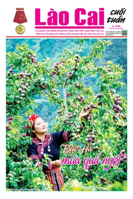 Báo Lào Cai Cuối tuần số 1040 ra ngày 31/5/2025